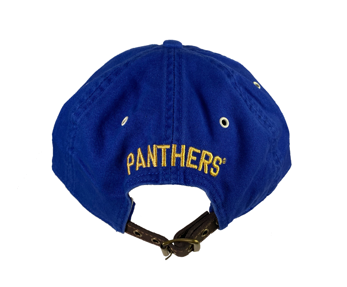 Pitt Premium Dye 100% Cotton Low Profile Baseball Cap