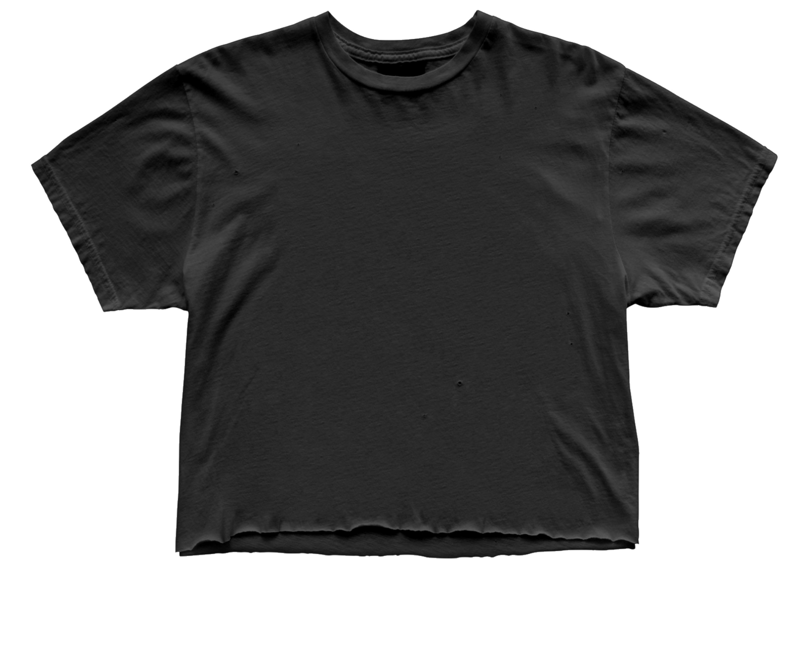 Black Label Premium Collection Blank Women's Crop Tee